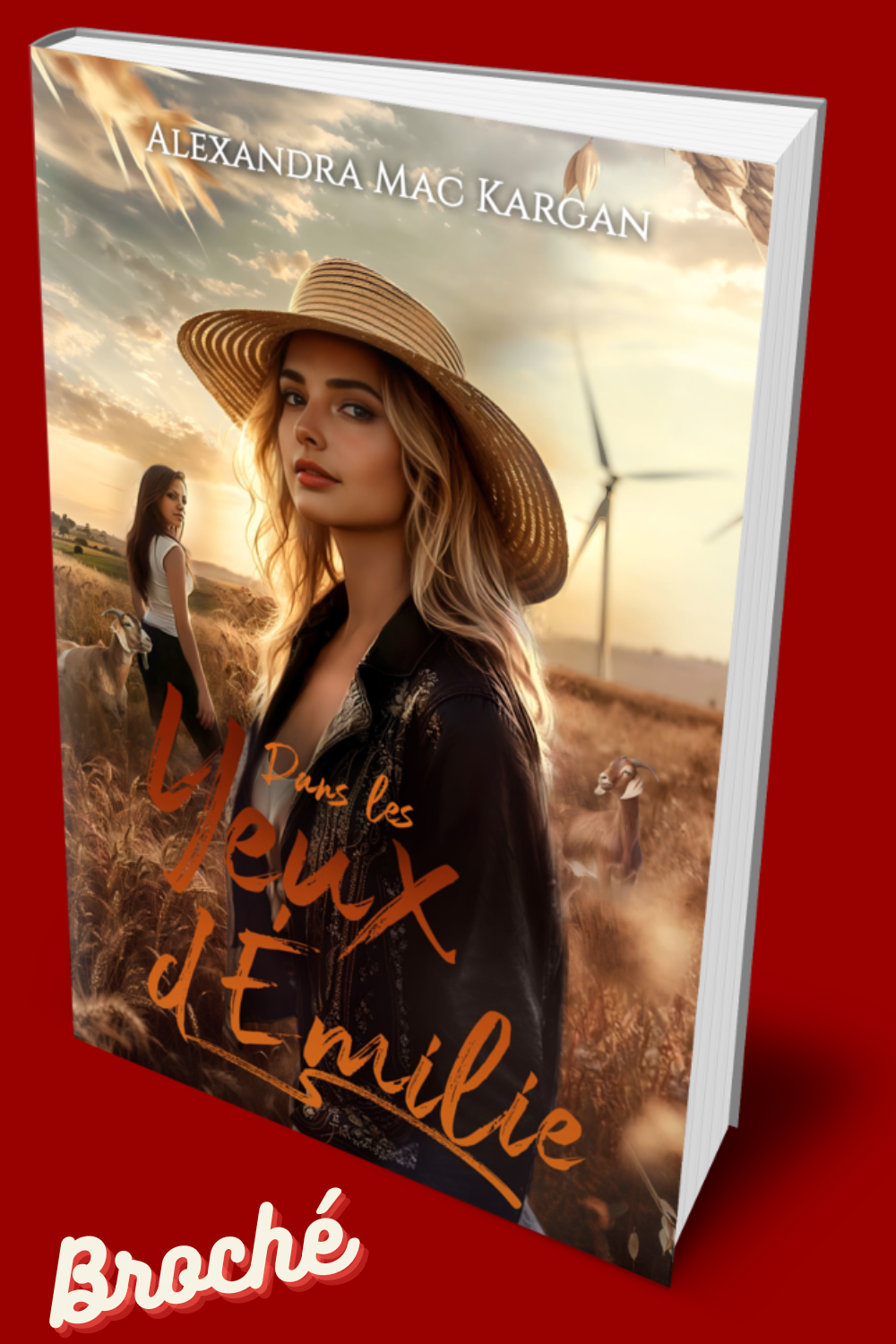 Romance lesbienne - Roman lesbien - Dans les yeux d'Emilie - Alexandra Mac Kargan - Broché