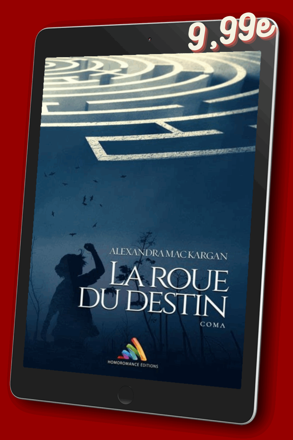 La roue du destin - Coma ! - Romance contemporaine - Broché Dédicacé